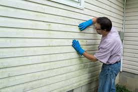 Best Storm Damage Siding Repair  in South Les, AK